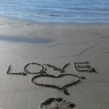 Duplex Centre Du Roi *